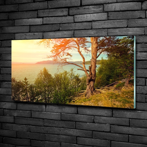 Quadro vetro Lago scandinavo