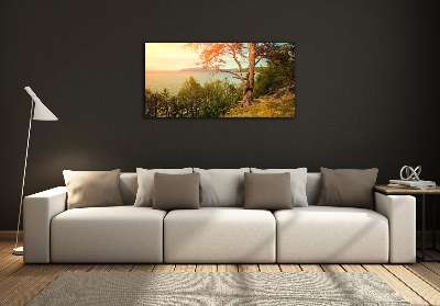 Quadro vetro Lago scandinavo