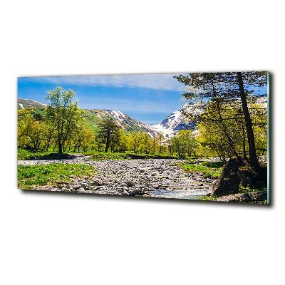 Quadro in vetro Un fiume tra le montagne
