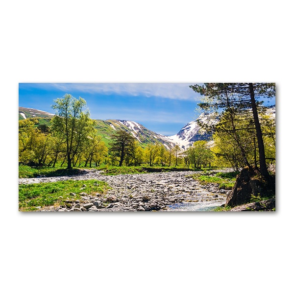 Quadro in vetro Un fiume tra le montagne