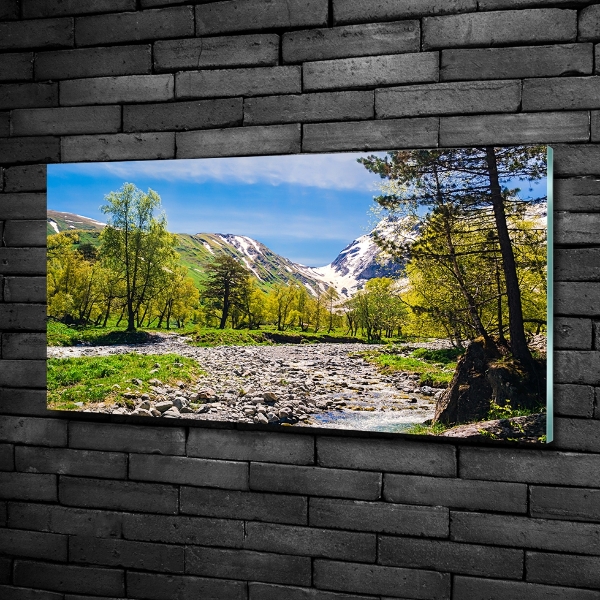 Quadro in vetro Un fiume tra le montagne