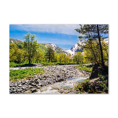 Quadro in vetro Un fiume tra le montagne