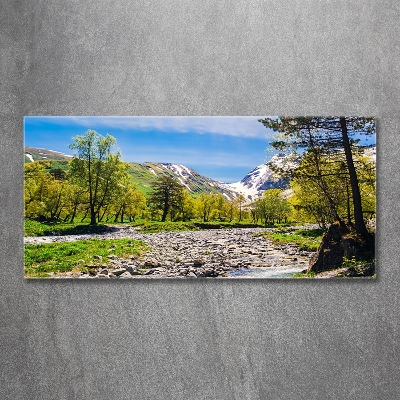 Quadro in vetro Un fiume tra le montagne
