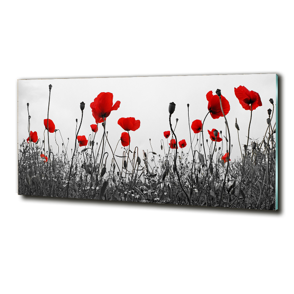 Quadro su vetro Papaveri