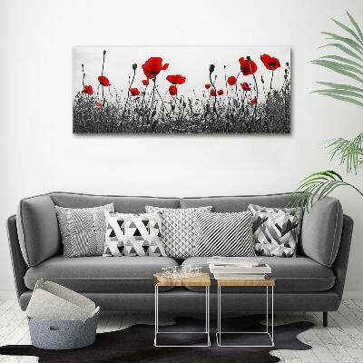 Quadro su vetro Papaveri