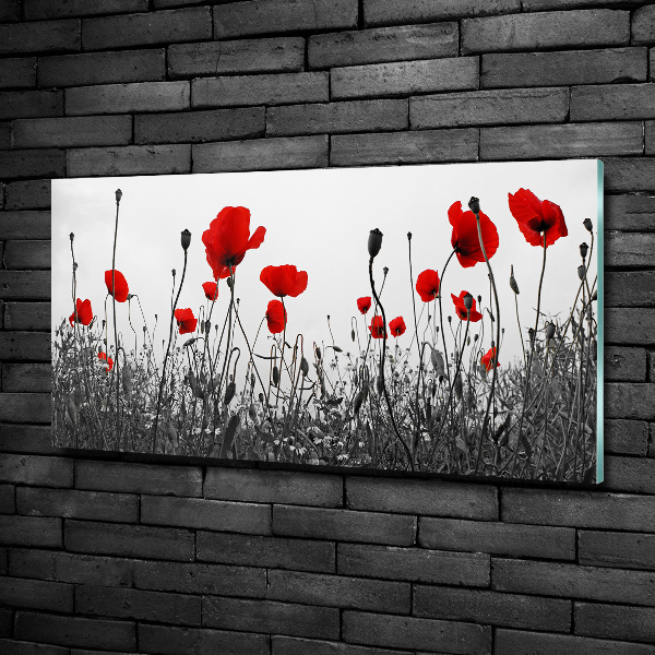 Quadro su vetro Papaveri