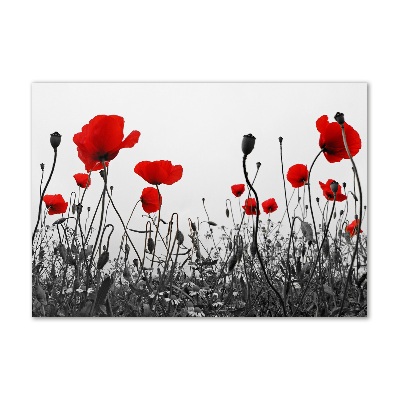 Quadro su vetro Papaveri