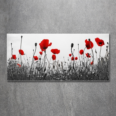 Quadro su vetro Papaveri