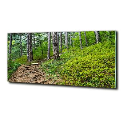 Quadro vetro Sentiero nel bosco