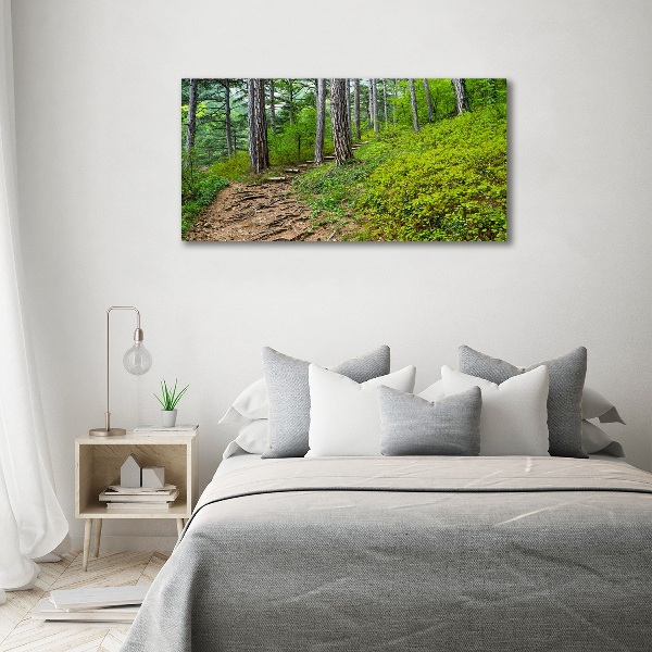 Quadro vetro Sentiero nel bosco