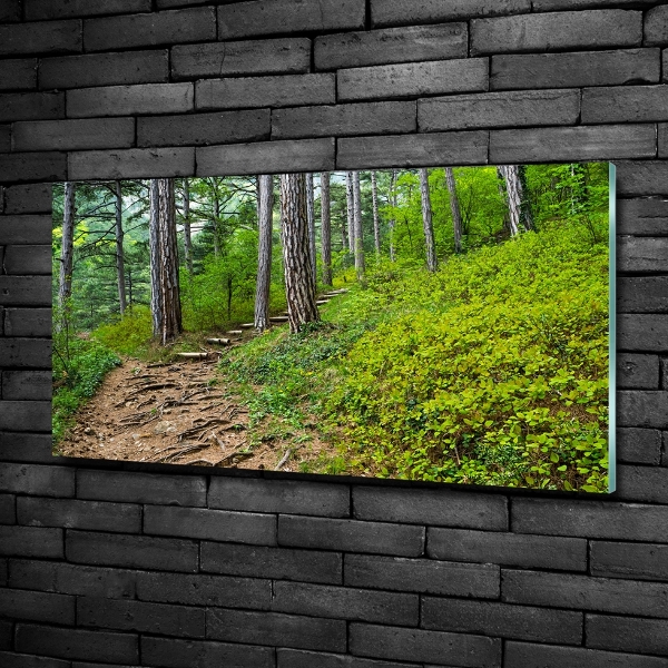 Quadro vetro Sentiero nel bosco