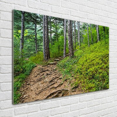 Quadro vetro Sentiero nel bosco