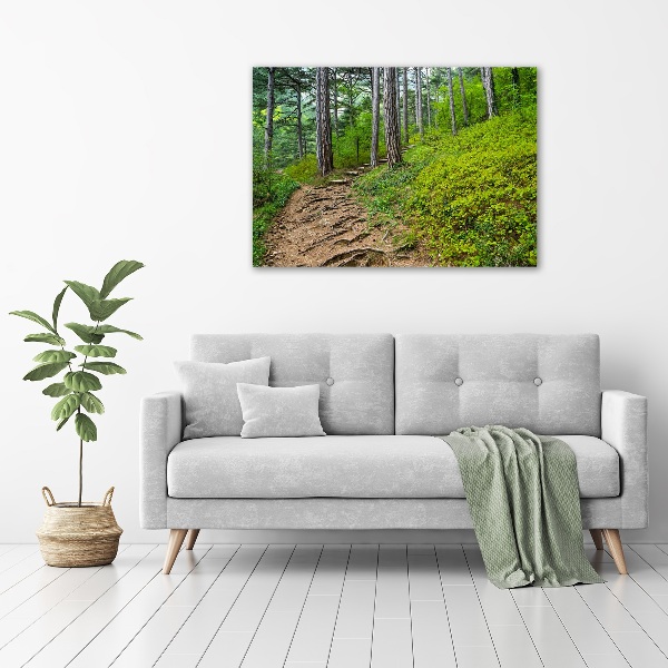 Quadro vetro Sentiero nel bosco