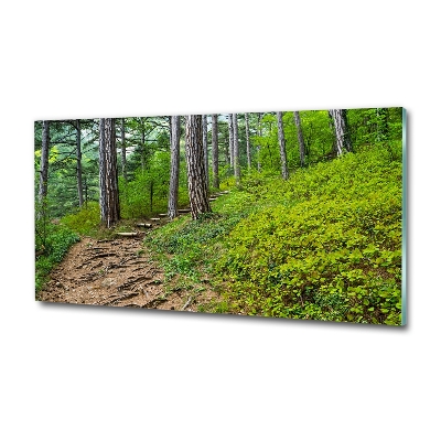 Quadro vetro Sentiero nel bosco