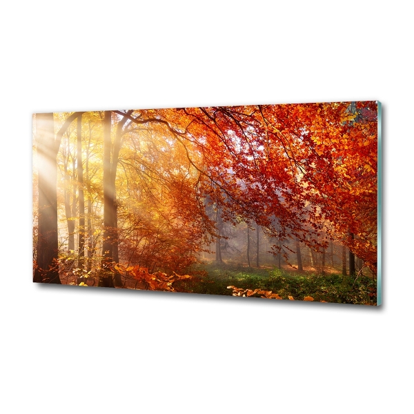 Quadro vetro Foresta autunnale