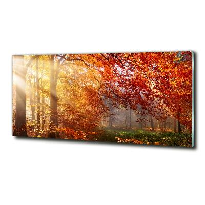 Quadro vetro Foresta autunnale