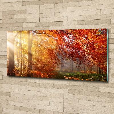 Quadro vetro Foresta autunnale