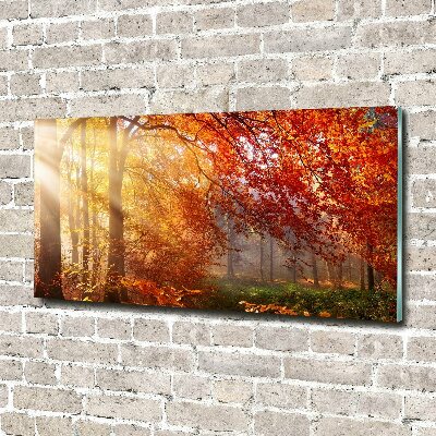 Quadro vetro Foresta autunnale