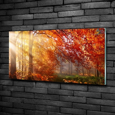 Quadro vetro Foresta autunnale