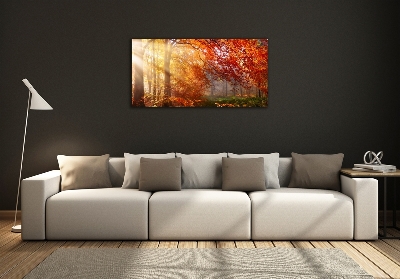 Quadro vetro Foresta autunnale
