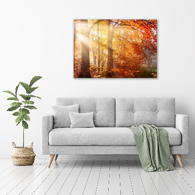 Quadro vetro Foresta autunnale