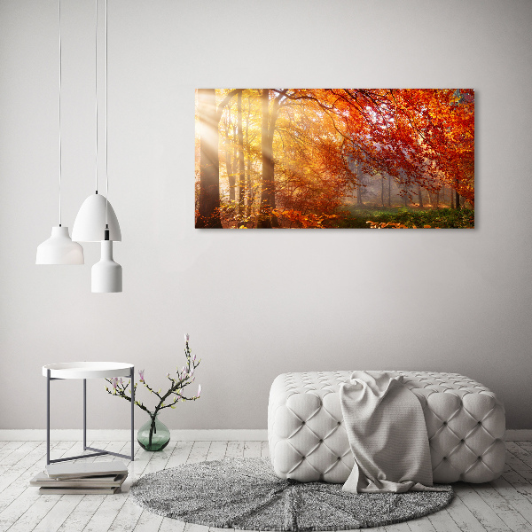 Quadro vetro Foresta autunnale
