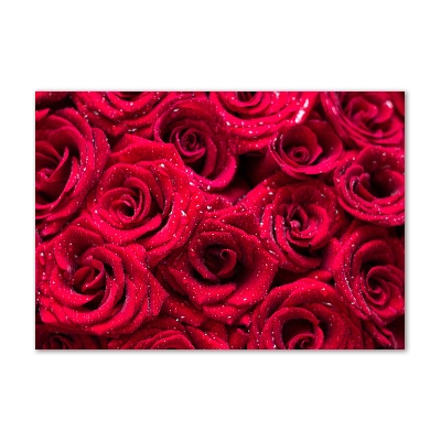 Quadro vetro Gocce sulle rose