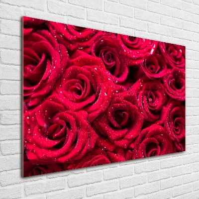 Quadro vetro Gocce sulle rose