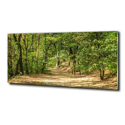 Quadro in verde Sentiero nel bosco
