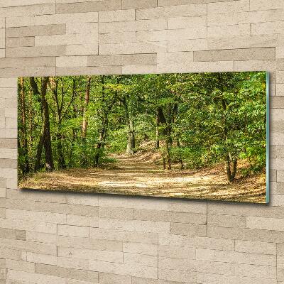 Quadro in verde Sentiero nel bosco