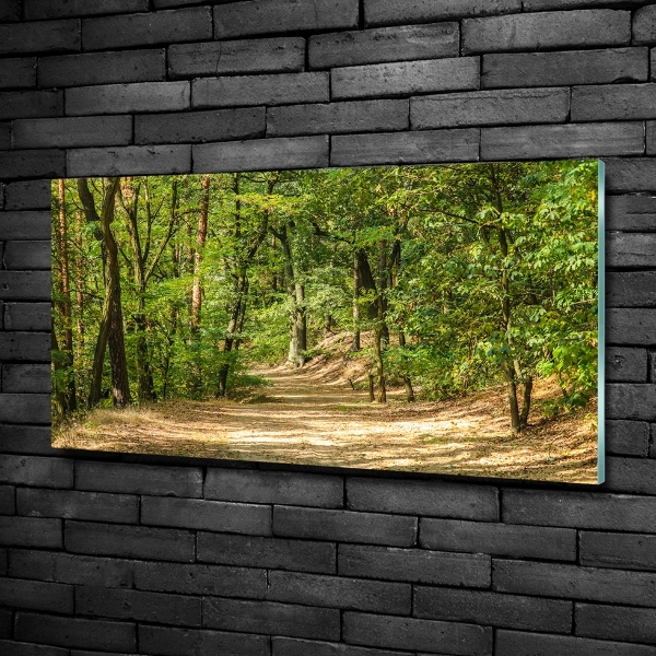 Quadro in verde Sentiero nel bosco