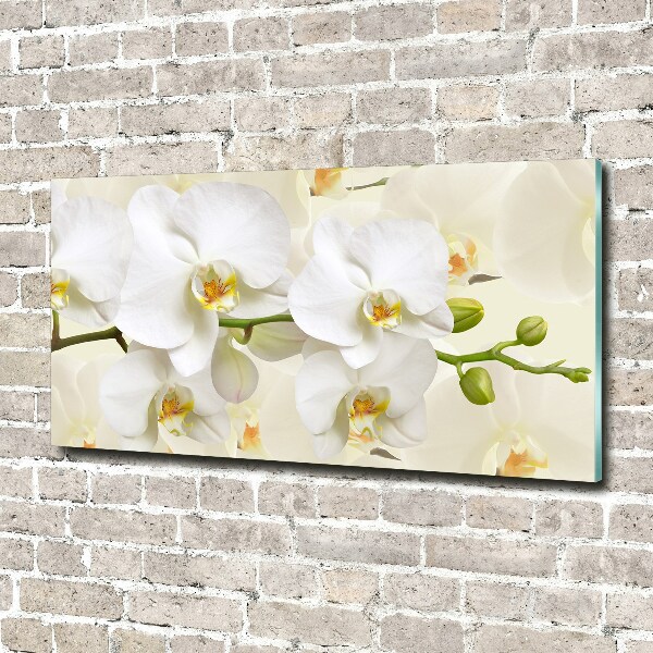 Quadro su vetro Orchidea