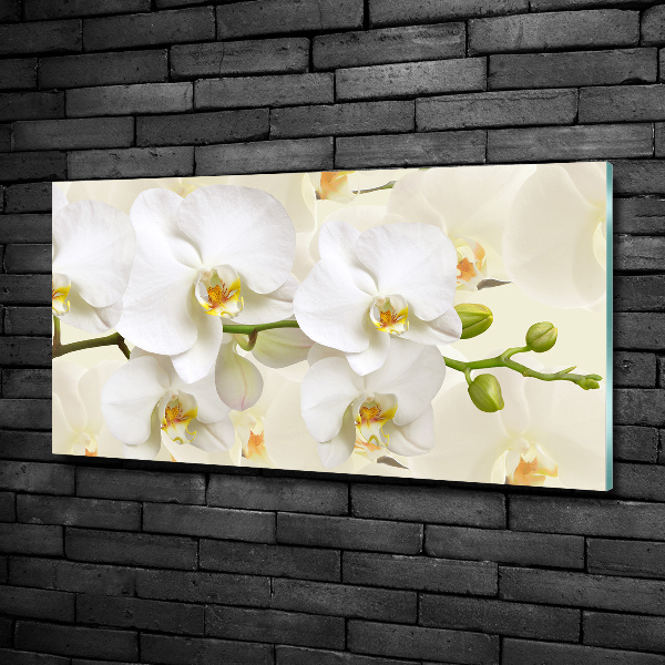Quadro su vetro Orchidea