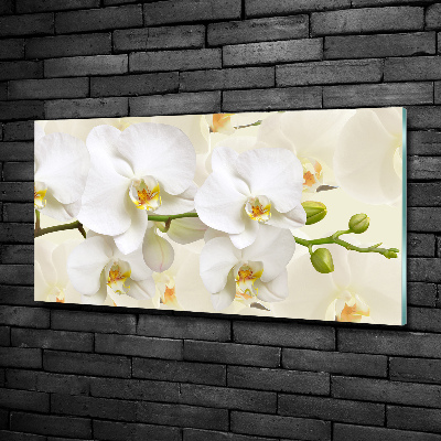 Quadro su vetro Orchidea