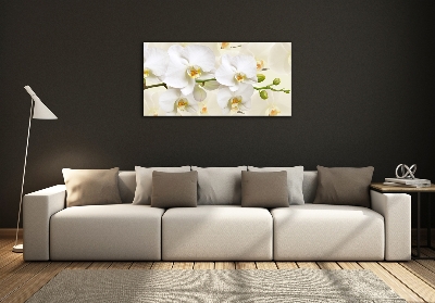 Quadro su vetro Orchidea