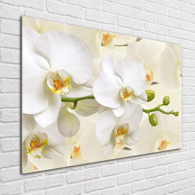 Quadro su vetro Orchidea