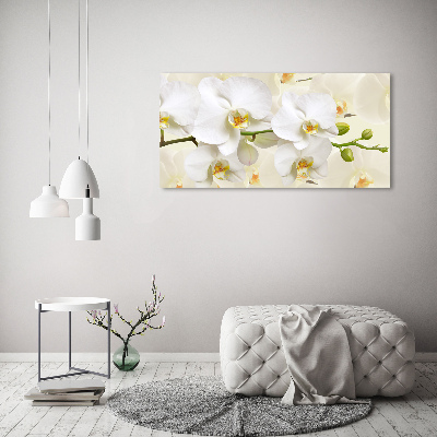 Quadro su vetro Orchidea