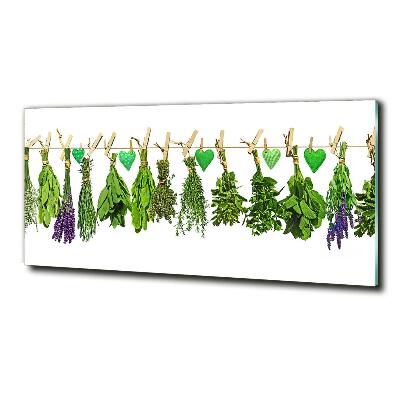 Quadro su vetro Erbe aromatiche su un filo
