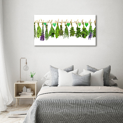 Quadro su vetro Erbe aromatiche su un filo