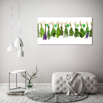 Quadro su vetro Erbe aromatiche su un filo