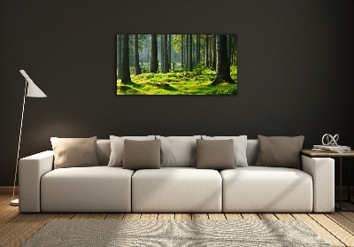 Quadro su vetro Foresta di abeti rossi