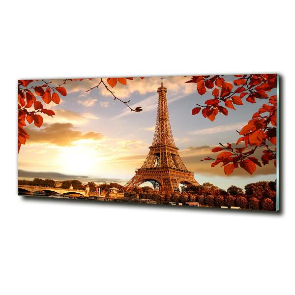 Quadro in verde Torre Eiffel Parigi