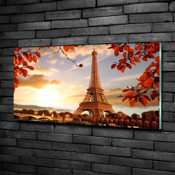 Quadro in verde Torre Eiffel Parigi