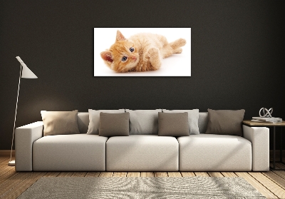 Quadro su vetro Gatto rosso