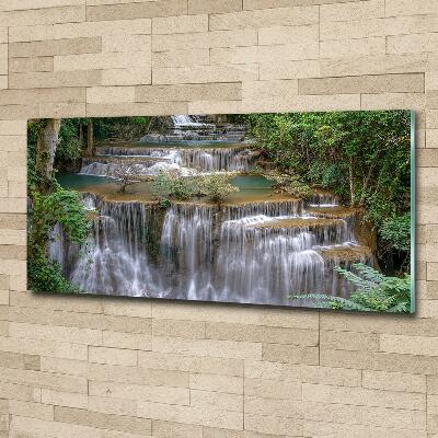 Quadro su vetro Cascata nella foresta