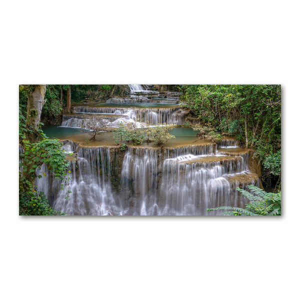 Quadro su vetro Cascata nella foresta