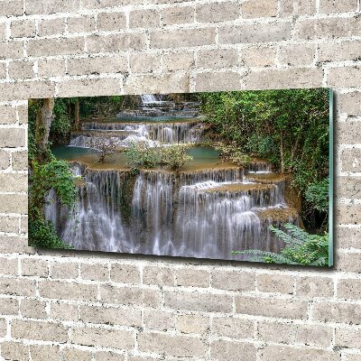Quadro su vetro Cascata nella foresta