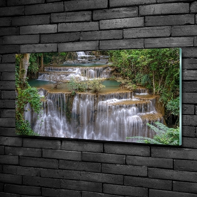 Quadro su vetro Cascata nella foresta