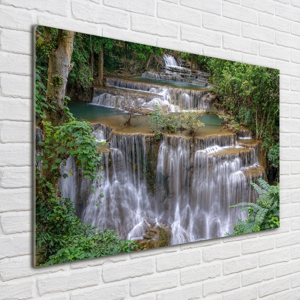 Quadro su vetro Cascata nella foresta