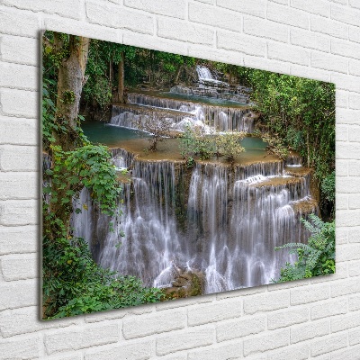 Quadro su vetro Cascata nella foresta